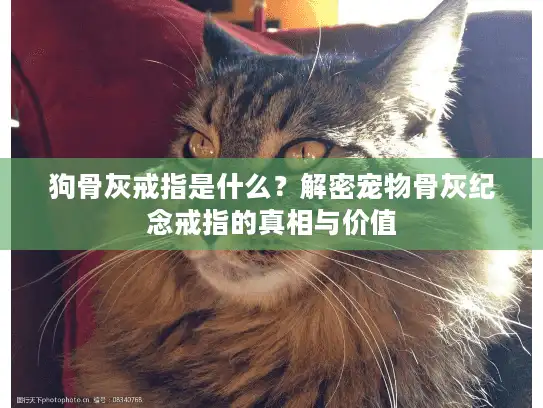狗骨灰戒指是什么？解密宠物骨灰纪念戒指的真相与价值