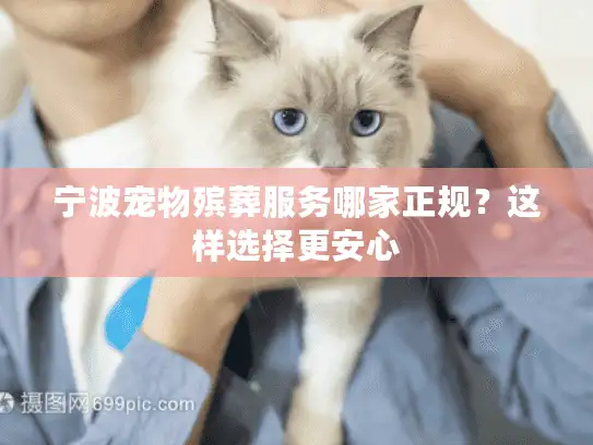 宁波宠物殡葬服务哪家正规？这样选择更安心