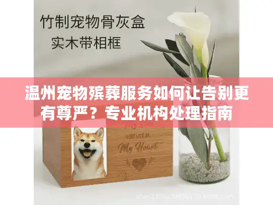 温州宠物殡葬服务如何让告别更有尊严？专业机构处理指南