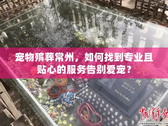 宠物殡葬常州，如何找到专业且贴心的服务告别爱宠？