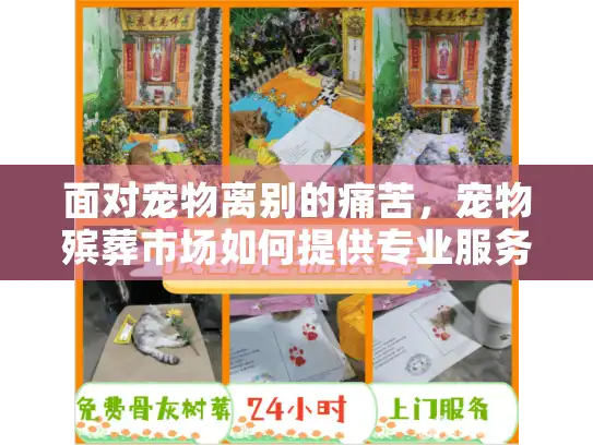 面对宠物离别的痛苦，宠物殡葬市场如何提供专业服务？