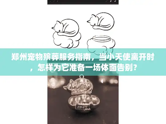 郑州宠物殡葬服务指南，当小天使离开时，怎样为它准备一场体面告别？