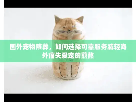国外宠物殡葬，如何选择可靠服务减轻海外痛失爱宠的煎熬