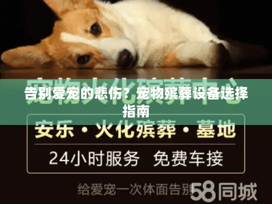 告别爱宠的悲伤？宠物殡葬设备选择指南
