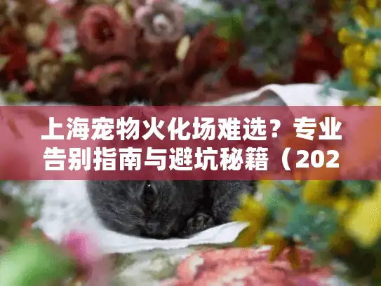 上海宠物火化场难选？专业告别指南与避坑秘籍（2025实用版）