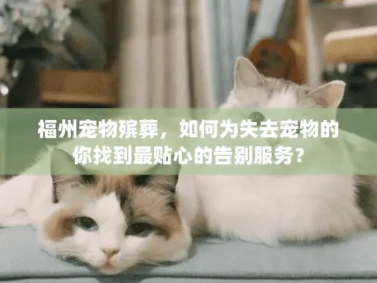 福州宠物殡葬，如何为失去宠物的你找到最贴心的告别服务？