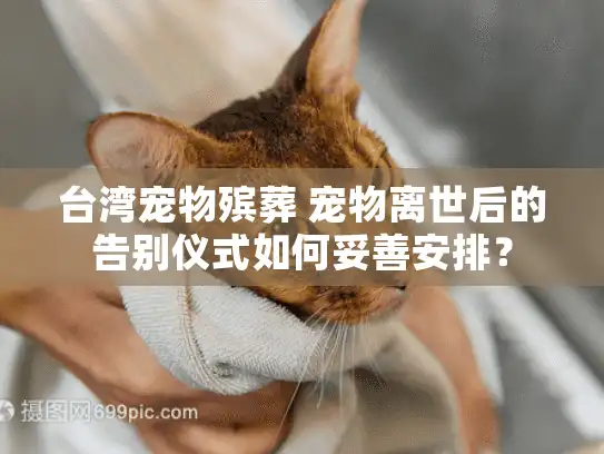 台湾宠物殡葬 宠物离世后的告别仪式如何妥善安排？
