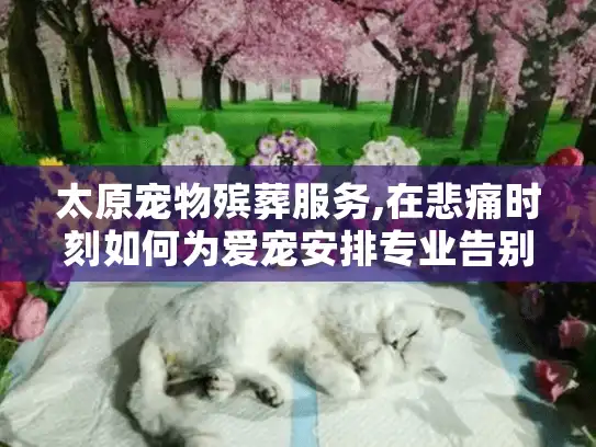 太原宠物殡葬服务,在悲痛时刻如何为爱宠安排专业告别仪式?