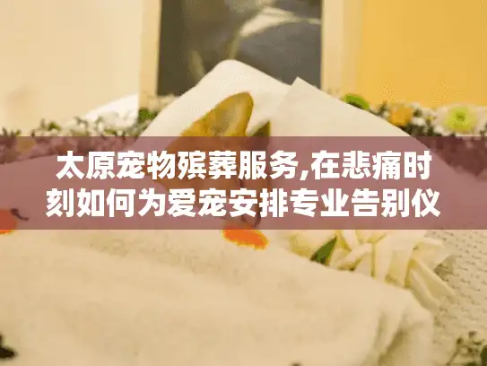 太原宠物殡葬服务,在悲痛时刻如何为爱宠安排专业告别仪式?