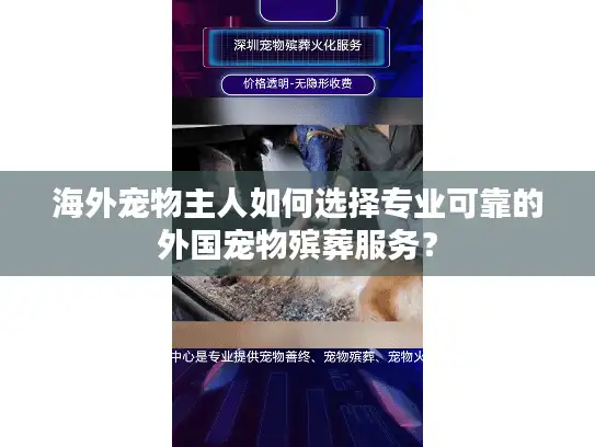 海外宠物主人如何选择专业可靠的外国宠物殡葬服务？