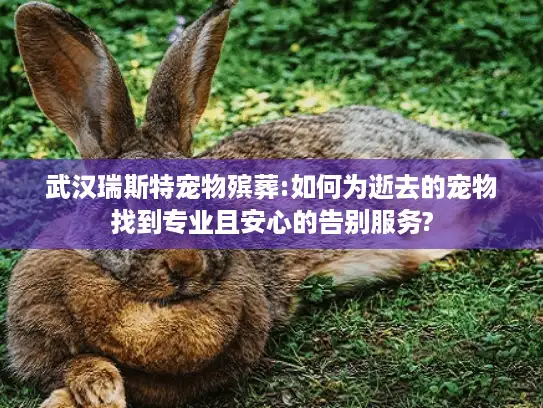 武汉瑞斯特宠物殡葬:如何为逝去的宠物找到专业且安心的告别服务?