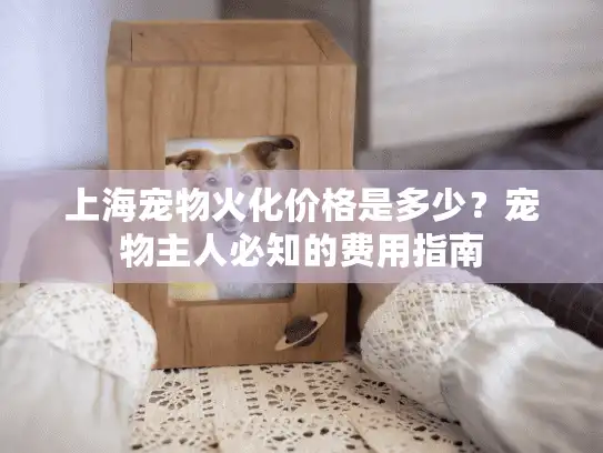 上海宠物火化价格是多少？宠物主人必知的费用指南