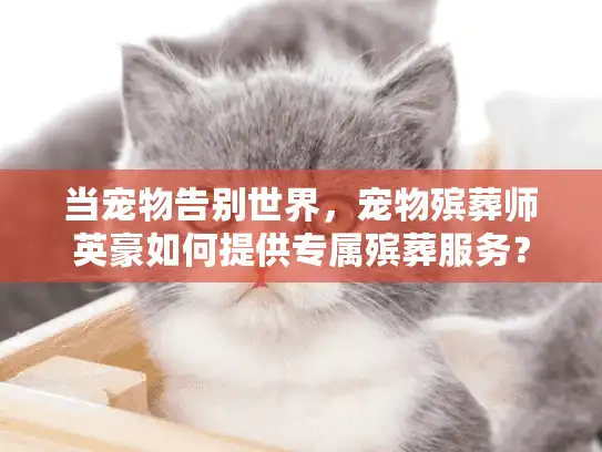 当宠物告别世界，宠物殡葬师英豪如何提供专属殡葬服务？