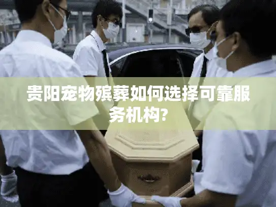 贵阳宠物殡葬如何选择可靠服务机构?