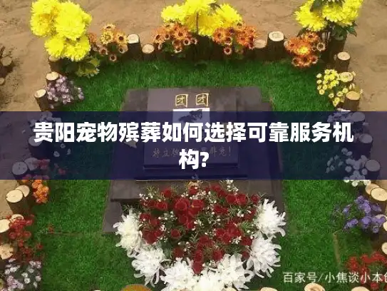 贵阳宠物殡葬如何选择可靠服务机构?