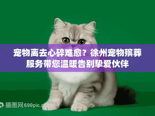 宠物离去心碎难愈？徐州宠物殡葬服务带您温暖告别挚爱伙伴