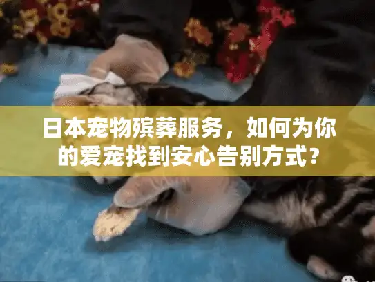 日本宠物殡葬服务，如何为你的爱宠找到安心告别方式？