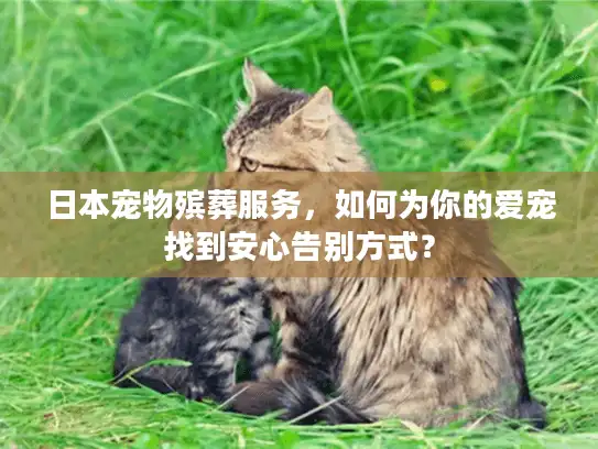 日本宠物殡葬服务，如何为你的爱宠找到安心告别方式？