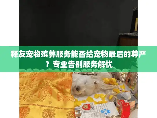 释友宠物殡葬服务能否给宠物最后的尊严？专业告别服务解忧