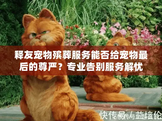 释友宠物殡葬服务能否给宠物最后的尊严？专业告别服务解忧