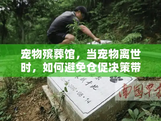 宠物殡葬馆，当宠物离世时，如何避免仓促决策带来遗憾？