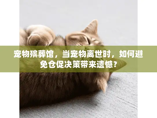 宠物殡葬馆，当宠物离世时，如何避免仓促决策带来遗憾？