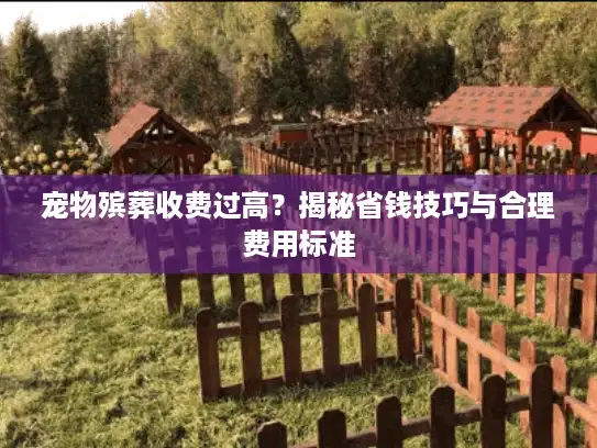 宠物殡葬收费过高？揭秘省钱技巧与合理费用标准
