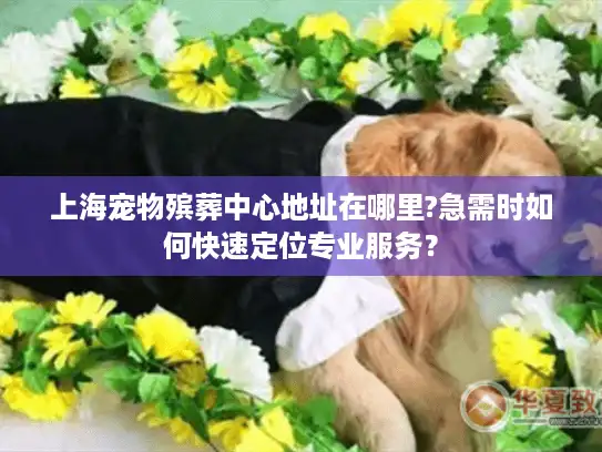 上海宠物殡葬中心地址在哪里?急需时如何快速定位专业服务？