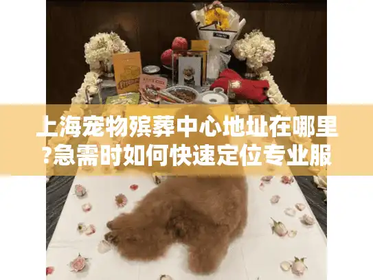 上海宠物殡葬中心地址在哪里?急需时如何快速定位专业服务？