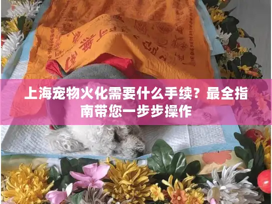 上海宠物火化需要什么手续？最全指南带您一步步操作