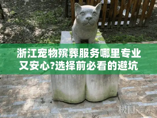 浙江宠物殡葬服务哪里专业又安心?选择前必看的避坑指南
