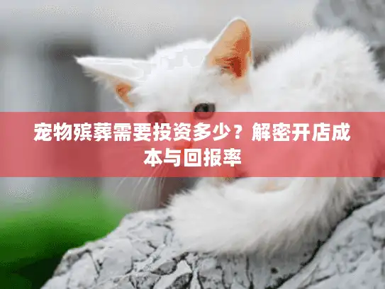 宠物殡葬需要投资多少？解密开店成本与回报率