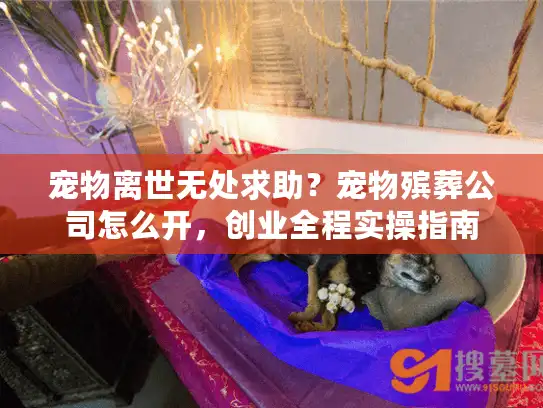 宠物离世无处求助？宠物殡葬公司怎么开，创业全程实操指南