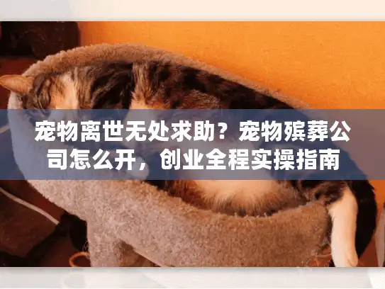 宠物离世无处求助？宠物殡葬公司怎么开，创业全程实操指南