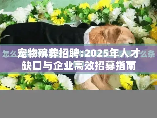 宠物殡葬招聘:2025年人才缺口与企业高效招募指南