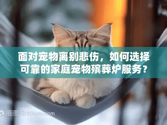 面对宠物离别悲伤，如何选择可靠的家庭宠物殡葬炉服务？
