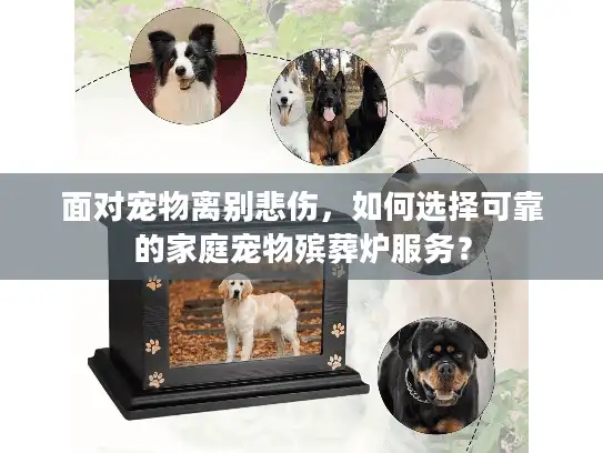 面对宠物离别悲伤，如何选择可靠的家庭宠物殡葬炉服务？