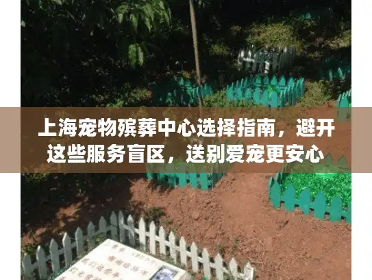 上海宠物殡葬中心选择指南，避开这些服务盲区，送别爱宠更安心