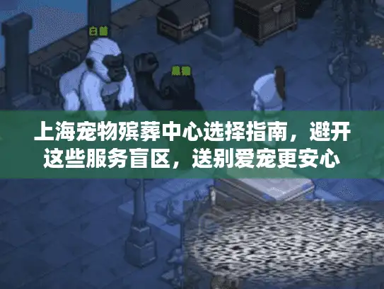 上海宠物殡葬中心选择指南，避开这些服务盲区，送别爱宠更安心
