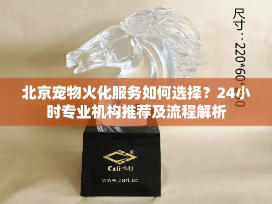 北京宠物火化服务如何选择？24小时专业机构推荐及流程解析