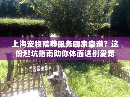 上海宠物殡葬服务哪家靠谱？这份避坑指南助你体面送别爱宠