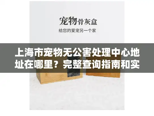 上海市宠物无公害处理中心地址在哪里？完整查询指南和实用信息