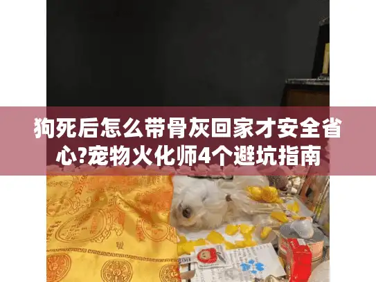 狗死后怎么带骨灰回家才安全省心?宠物火化师4个避坑指南