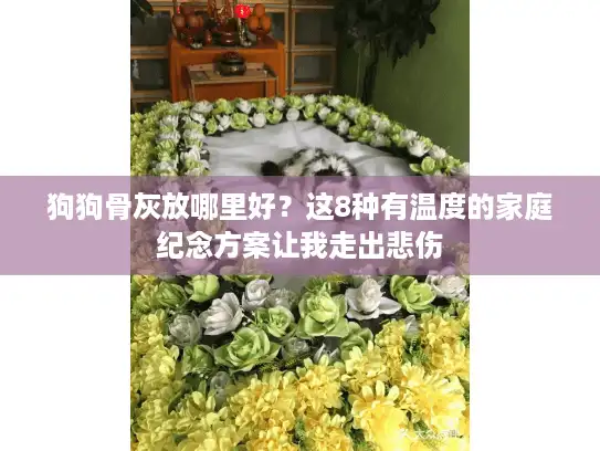 狗狗骨灰放哪里好？这8种有温度的家庭纪念方案让我走出悲伤