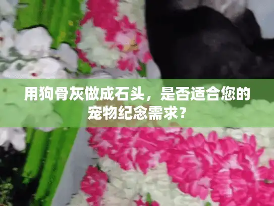 用狗骨灰做成石头，是否适合您的宠物纪念需求？