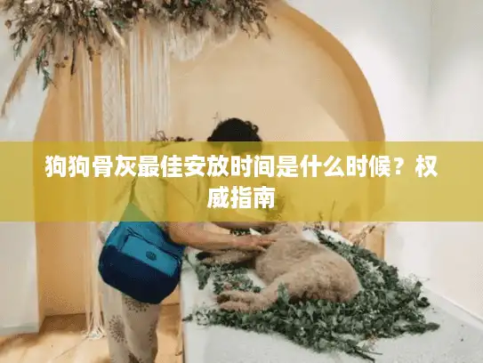 狗狗骨灰最佳安放时间是什么时候？权威指南