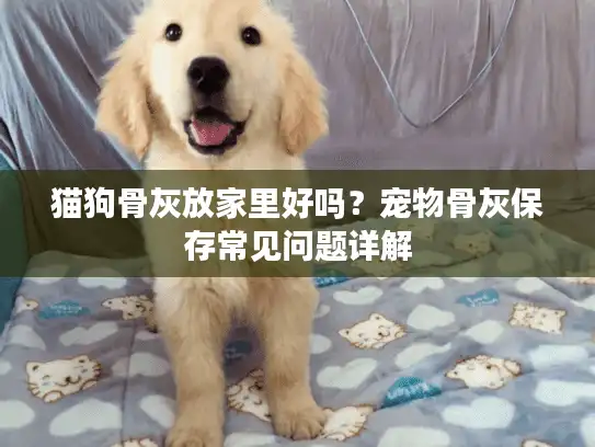 猫狗骨灰放家里好吗？宠物骨灰保存常见问题详解