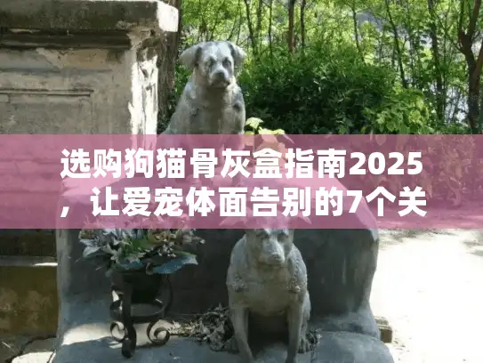选购狗猫骨灰盒指南2025，让爱宠体面告别的7个关键考量