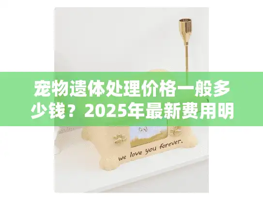 宠物遗体处理价格一般多少钱？2025年最新费用明细公开