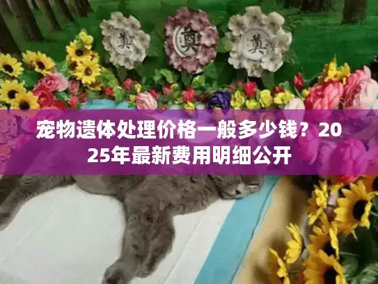 宠物遗体处理价格一般多少钱？2025年最新费用明细公开